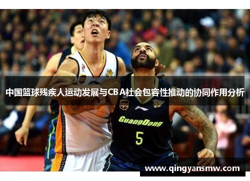 中国篮球残疾人运动发展与CBA社会包容性推动的协同作用分析