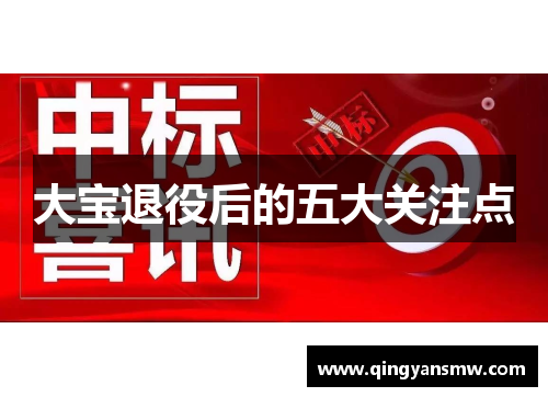 大宝退役后的五大关注点