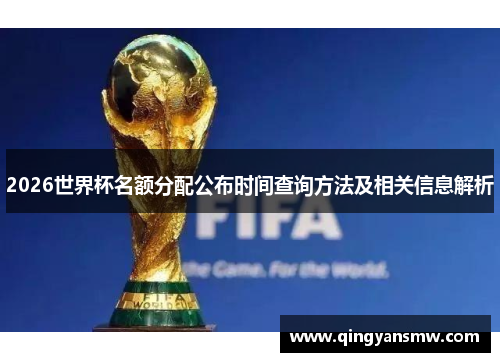 2026世界杯名额分配公布时间查询方法及相关信息解析