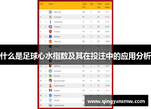什么是足球心水指数及其在投注中的应用分析