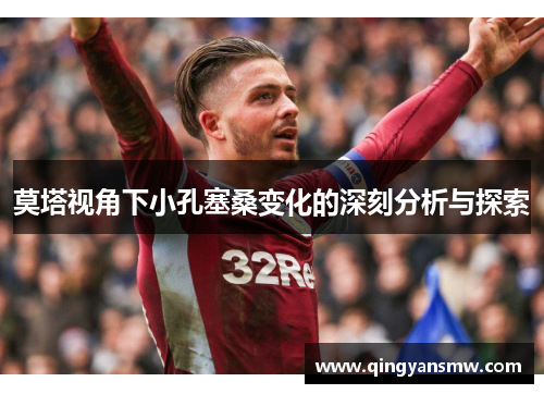 莫塔视角下小孔塞桑变化的深刻分析与探索