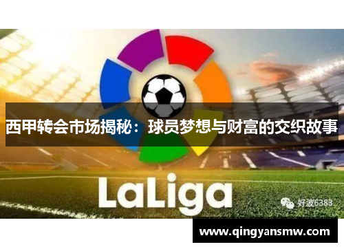 西甲转会市场揭秘：球员梦想与财富的交织故事