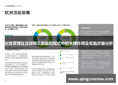 财务管理在足球俱乐部盈利模式中的关键作用及实施步骤分析